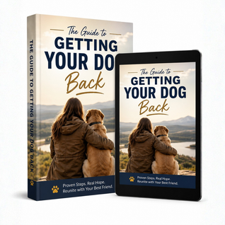 The Guide to Getting Your Dog Back