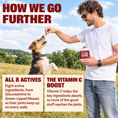 How we go further: all 8 actives and the vitamin C boost